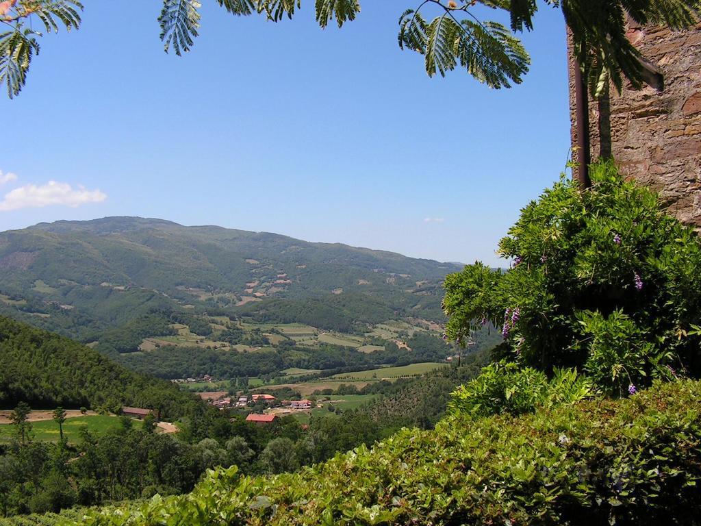 Fattoria Il Lago Dicomano Værelse billede