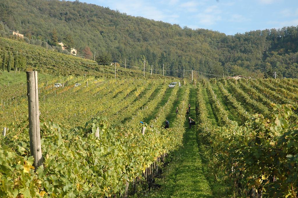 Fattoria Il Lago Dicomano Eksteriør billede