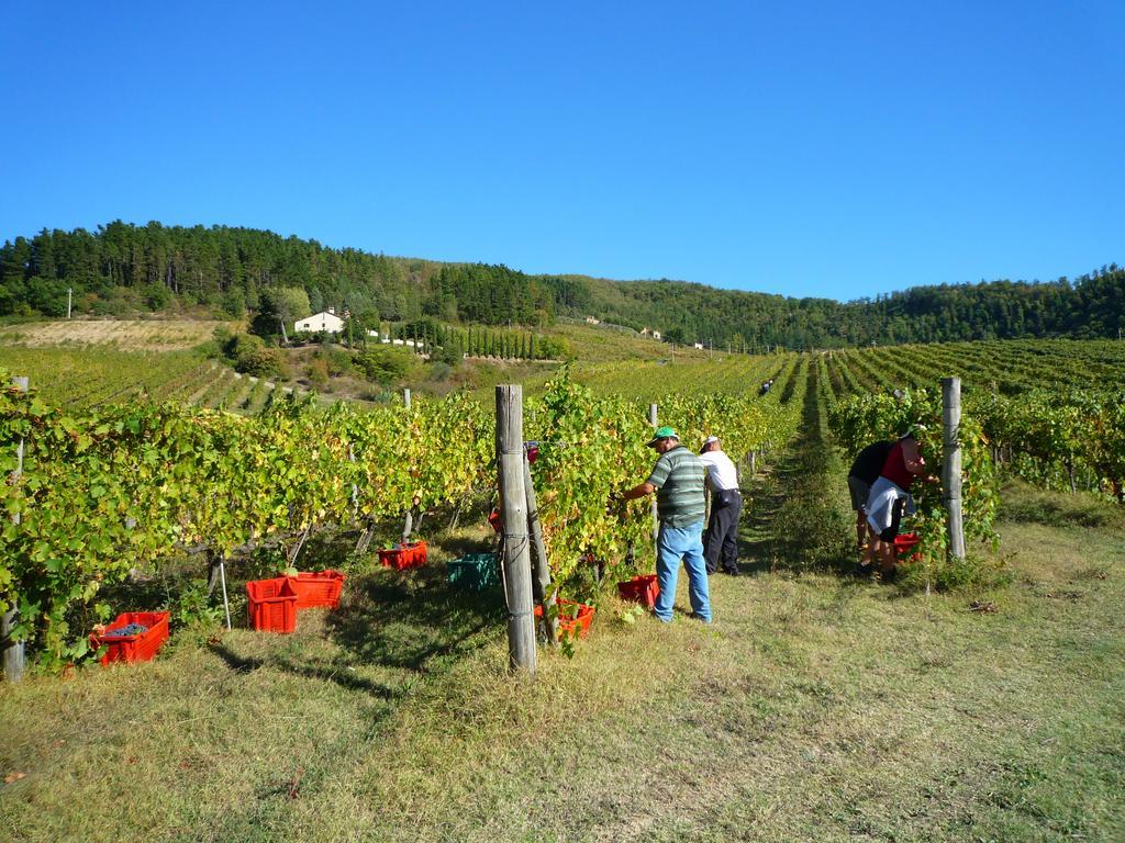 Fattoria Il Lago Dicomano Eksteriør billede